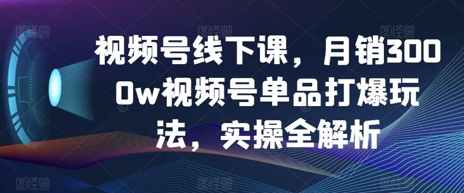 视频号线下课，月销3000w视频号单品打爆玩法，实操全解析-点子口袋网