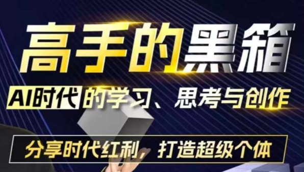 高手的黑箱：AI时代学习、思考与创作-分红时代红利，打造超级个体-点子口袋网