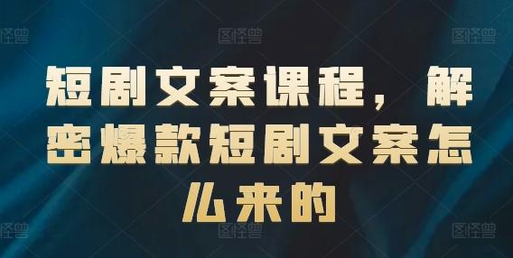 短剧文案课程，解密爆款短剧文案怎么来的-点子口袋网