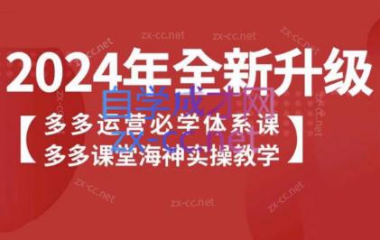 海神老师·拼多多运营必学体系课-点子口袋网