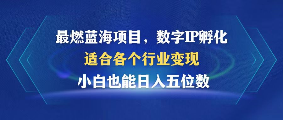 最燃蓝海项目  数字IP孵化  适合各个行业变现  小白也能日入5位数-点子口袋网