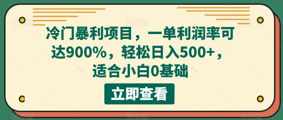 冷门暴利项目，一单利润率可达900%，轻松日入500+，适合小白0基础-点子口袋网