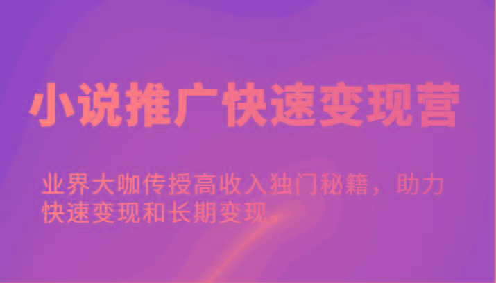 小说推广快速变现营-业界大咖传授高收入独门秘籍，助力快速变现和长期变现。-点子口袋网