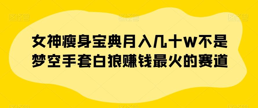 女神瘦身宝典月入几十W不是梦空手套白狼赚钱最火的赛道【揭秘】-点子口袋网