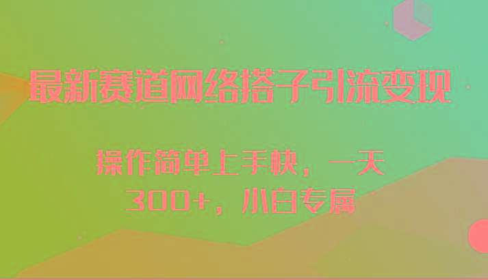 最新赛道网络搭子引流变现!!操作简单上手快，一天300+，小白专属-点子口袋网