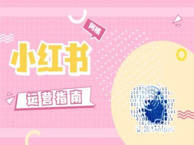 小红书运营指南，没有套路，全是经验-点子口袋网