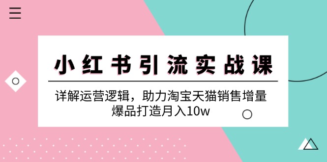 小红书引流实战课：详解运营逻辑，助力淘宝天猫销售增量，爆品打造月入10w-点子口袋网