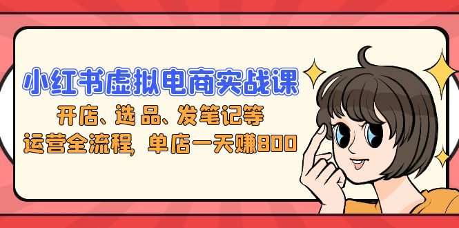 小红书虚拟电商实战课：开店、选品、发笔记等运营全流程，单店一天赚800-点子口袋网