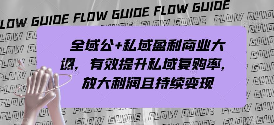 全域公+私域盈利商业大课，有效提升私域复购率，放大利润且持续变现-点子口袋网