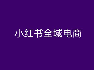 小红书全域电商，小红书电商教程-点子口袋网