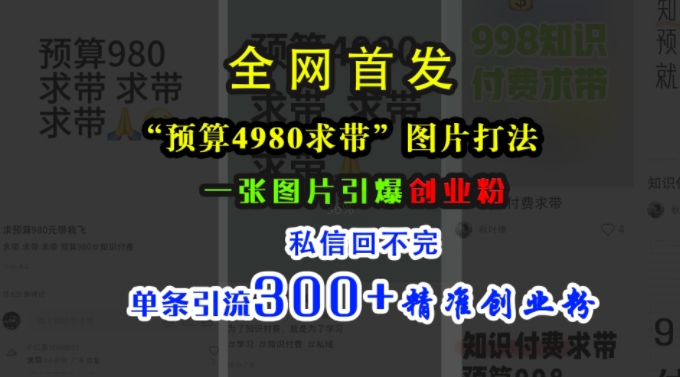 小红书“预算4980带我飞”图片打法，一张图片引爆创业粉，私信回不完，单条引流300+精准创业粉-点子口袋网