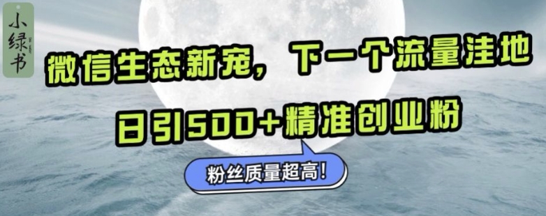 微信生态新宠小绿书：下一个流量洼地，日引500+精准创业粉，粉丝质量超高-点子口袋网