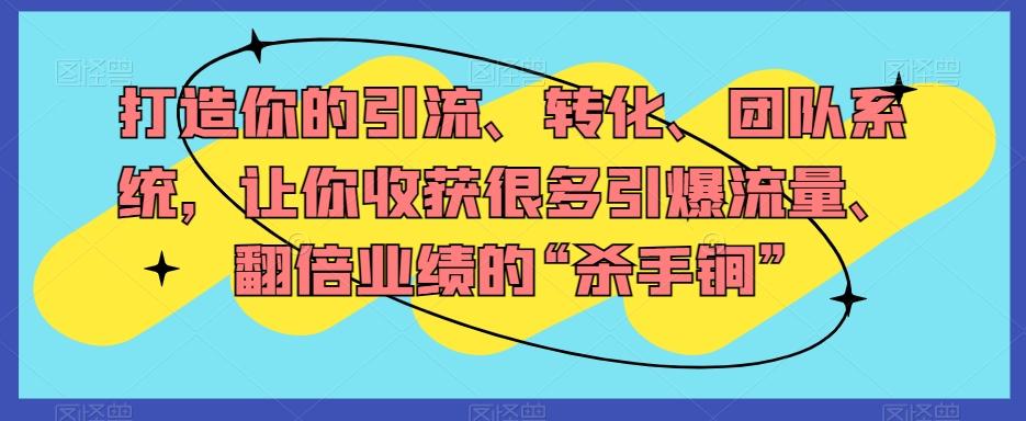 打造你的引流、转化、团队系统，让你收获很多引爆流量、翻倍业绩的“杀手锏”-点子口袋网