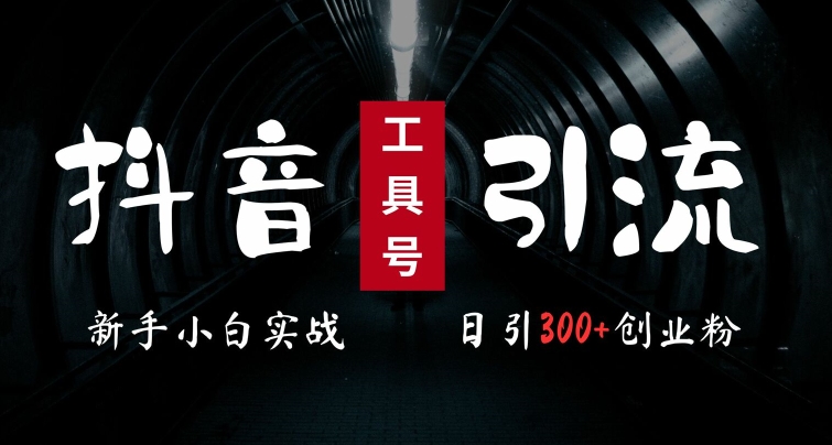 2024最新抖音工具号引流玩法，高效日引300+创业粉，当天变现5k，小白也可成为实战高手-点子口袋网