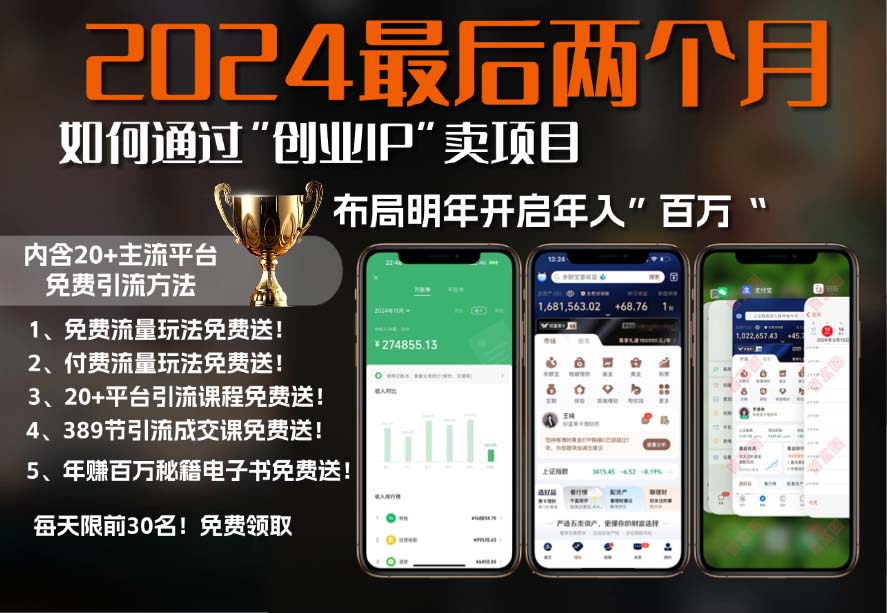 2024最后两个月如何通过”创业IP“卖项目年入”百万“,创业IP+最强引流...-点子口袋网