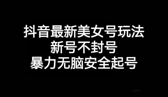 抖音最新美女号玩法，新号不封号，暴力无脑安全起号【揭秘】-点子口袋网