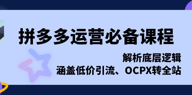 拼多多运营必备课程，解析底层逻辑，涵盖低价引流、OCPX转全站-点子口袋网