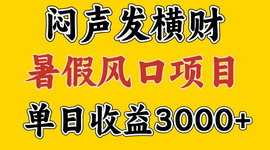 30天赚了7.5W 暑假风口项目，比较好学，2天左右上手-点子口袋网