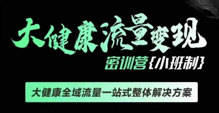 千万级大健康变现课线下课，大健康全域流量一站式整体解决方案-点子口袋网