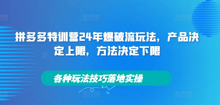 拼多多特训营24年爆破流玩法，产品决定上限，方法决定下限，各种玩法技巧落地实操-点子口袋网
