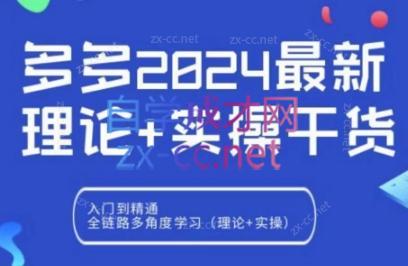 拼多多2024最新规则理论结合实际的干货-点子口袋网