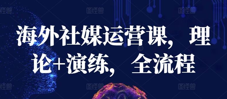 海外社媒运营课，理论+演练，全流程-点子口袋网