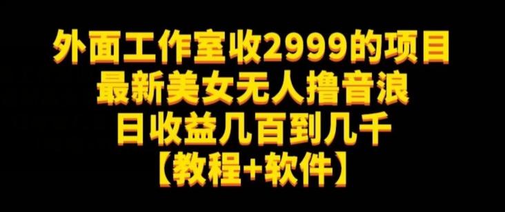 外面工作室收2999的项目最新美女无人撸音浪日收益几百到几千【教程+软件】（仅揭秘）-点子口袋网