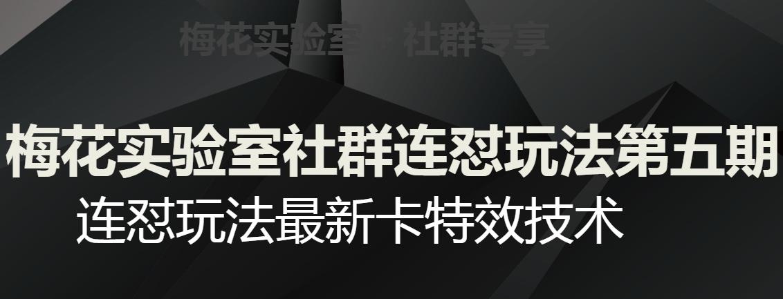 梅花实验室社群连怼玩法第五期，视频号连怼玩法最新卡特效技术-点子口袋网