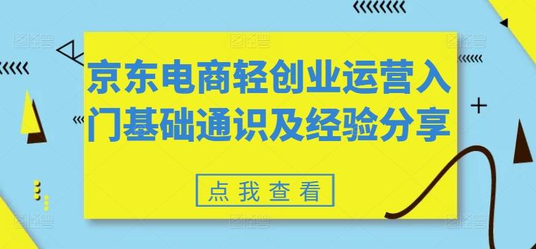 京东电商轻创业运营入门基础通识及经验分享-点子口袋网