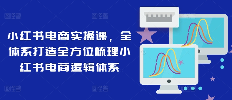 小红书电商实操课，全体系打造全方位梳理小红书电商逻辑体系-点子口袋网