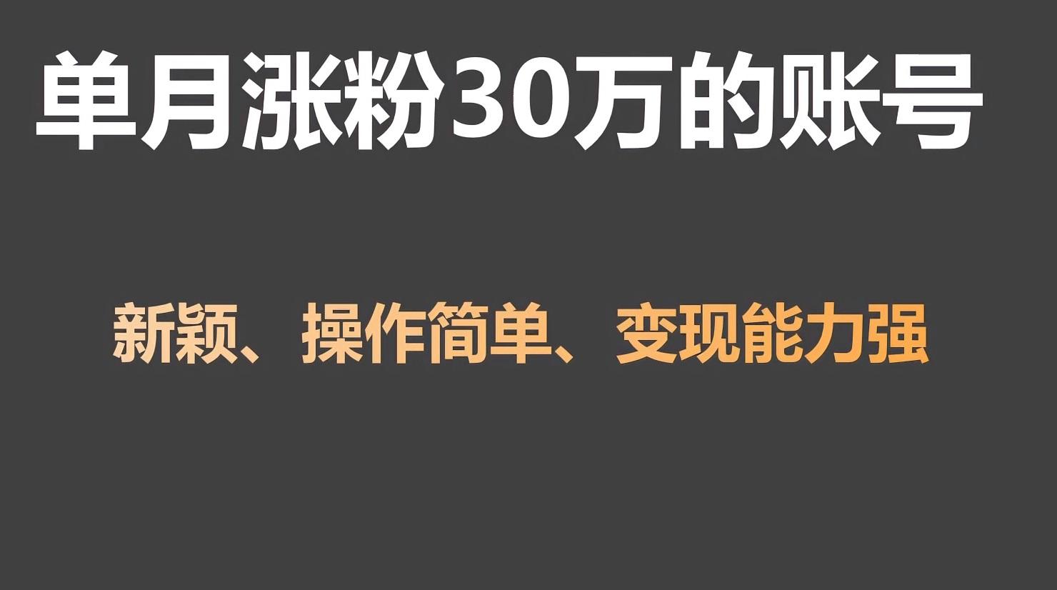 单月涨粉30万，带货收入20W，5分钟就能制作一个视频！-点子口袋网