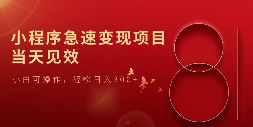 小程序急速变现项目，当天见效，小白可操作，轻松日入300+-点子口袋网