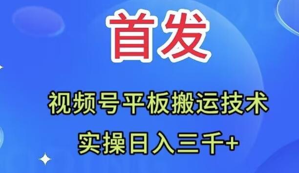 全网首发：视频号平板搬运技术，实操日入三千＋-点子口袋网