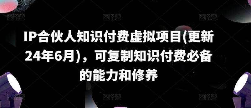 IP合伙人知识付费虚拟项目(更新24年6月)，可复制知识付费必备的能力和修养-点子口袋网