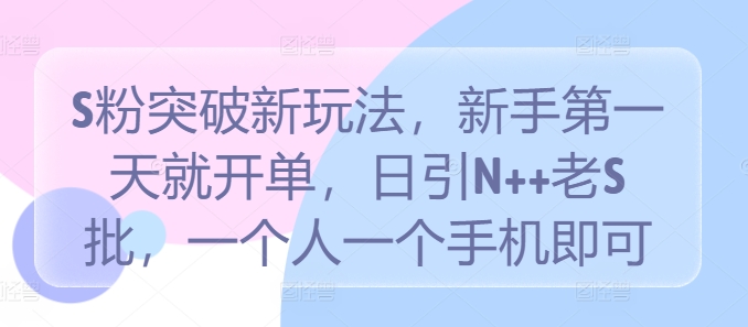 S粉突破新玩法，新手第一天就开单，日引N++老S批，一个人一个手机即可【揭秘】-点子口袋网