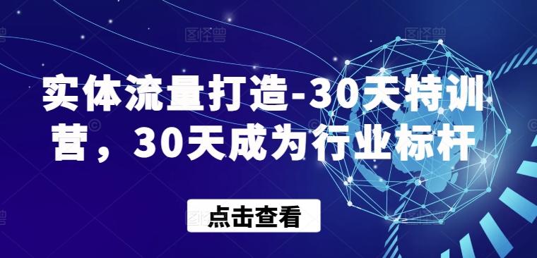 实体流量打造-30天特训营，30天成为行业标杆-点子口袋网