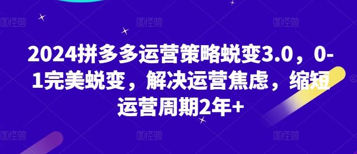 2024拼多多运营策略蜕变3.0，0-1完美蜕变，解决运营焦虑，缩短运营周期2年+-点子口袋网