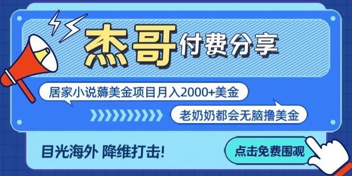拆解海外撸美金项目月入2000美刀详细指导-点子口袋网