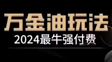 2024最牛强付费，万金油强付费玩法，干货满满，全程实操起飞(更新12月)-点子口袋网