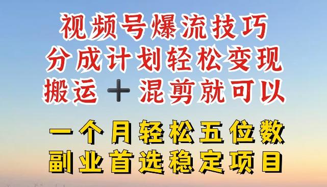 视频号爆流技巧，分成计划轻松变现，搬运 +混剪就可以，一个月轻松五位数稳定项目【揭秘】-点子口袋网