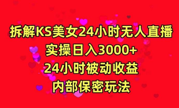 利用快手24小时无人美女直播，实操日入3000，24小时被动收益，内部保密玩法【揭秘】-点子口袋网