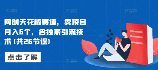 网创天花板赛道，卖项目月入6个，含独家引流技术(共26节课)-点子口袋网