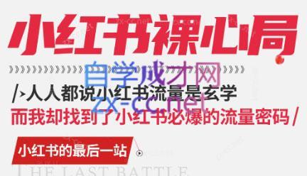 月月老师·小红书低粉高变现课-点子口袋网