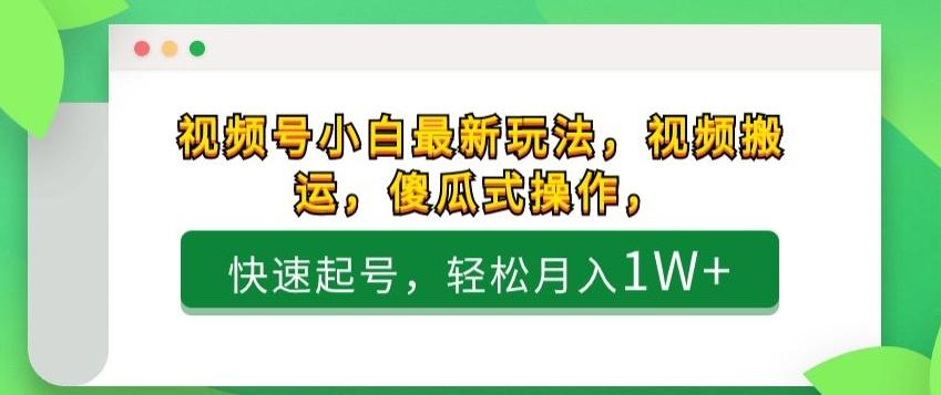 视频号小白最新玩法，视频搬运，傻瓜式操作，快速起号，轻松月入1W+-点子口袋网