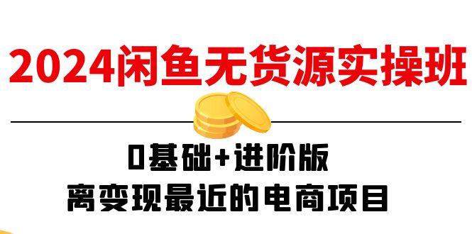 2024闲鱼-无货源实操班：0基础+进阶版，离变现最近的电商项目(15节-点子口袋网