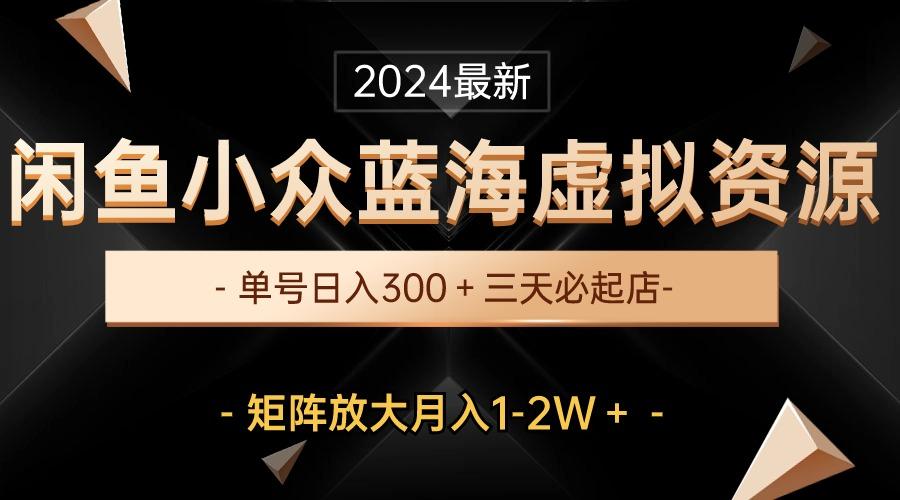 最新闲鱼小众蓝海虚拟资源，单号日入300＋，三天必起店，矩阵放大月入1-2W-点子口袋网
