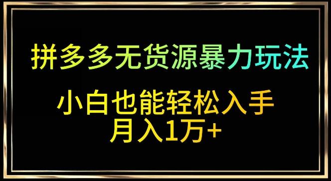 拼多多无货源暴力玩法，全程干货，小白也能轻松入手，月入1万+【揭秘】-点子口袋网