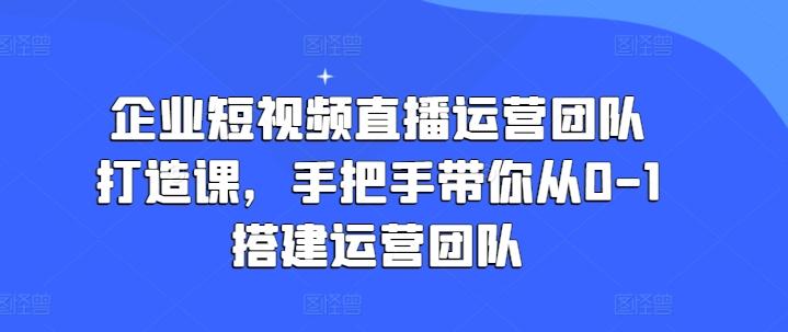 企业短视频直播运营团队打造课，手把手带你从0-1搭建运营团队-点子口袋网