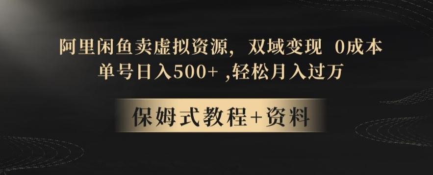 阿里闲鱼卖虚拟资源，双域变现，0成本，日入500+，轻松月入过万-点子口袋网