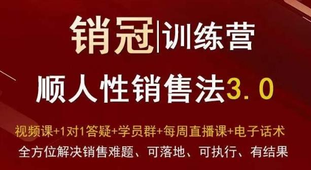 爆款！销冠训练营3.0之顺人性销售法，全方位解决销售难题、可落地、可执行、有结果-点子口袋网